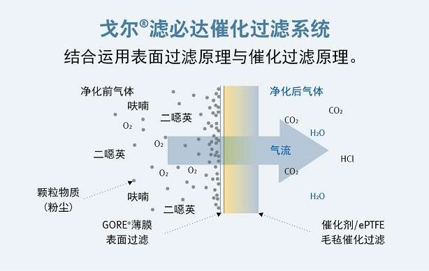 gore-3-1