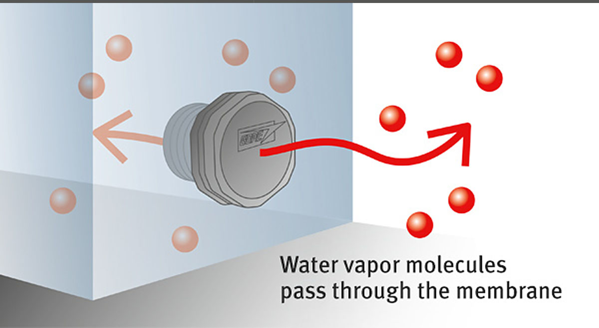 Water vapor molecules pass through the membrane