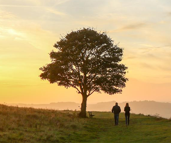 两个人走在日落时分的树旁